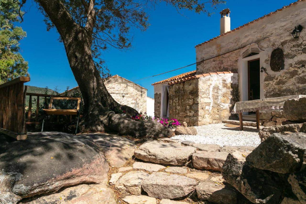 Casa Vacanza Stazzu Saiacciu Palau Kültér fotó